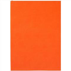 Ежедневник Flat Light, недатированный
